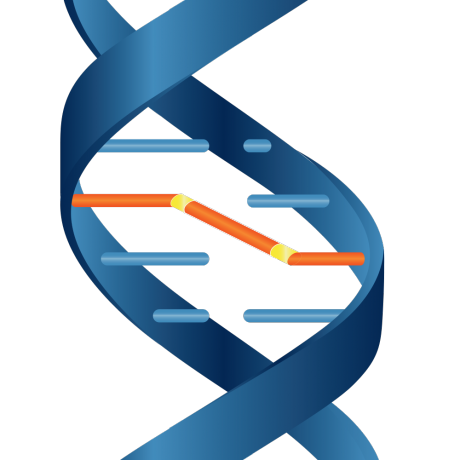 dna2.png dna2.png